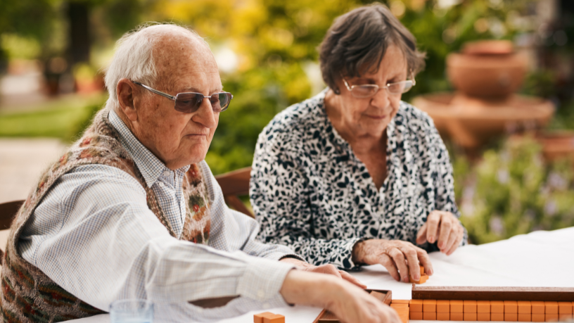 Sindnapi - Sindicato Nacional dos Aposentados, Pensionistas e Idosos